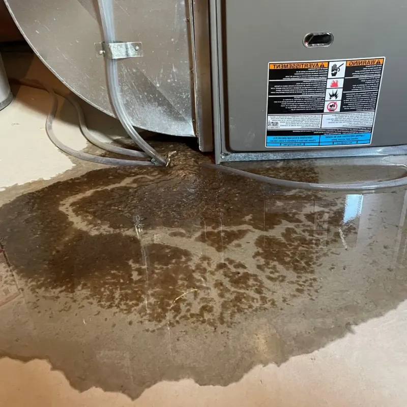 Pipe Burst and Leak Restoration in Schoharie, NY